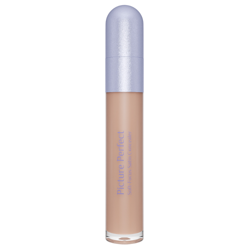 Picture Perfect Soft-Focus Satin Concealer