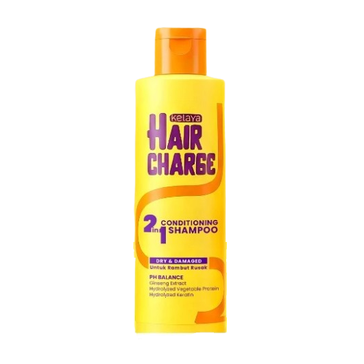 Hair Charge 2in1 Conditioning Shampoo