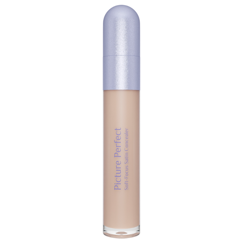 Picture Perfect Soft-Focus Satin Concealer