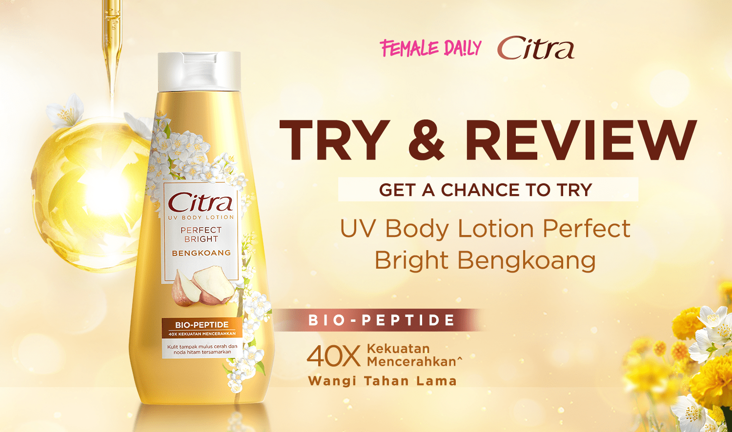 Try & Review: Citra UV Body Lotion Perfect Bright Bengkoang