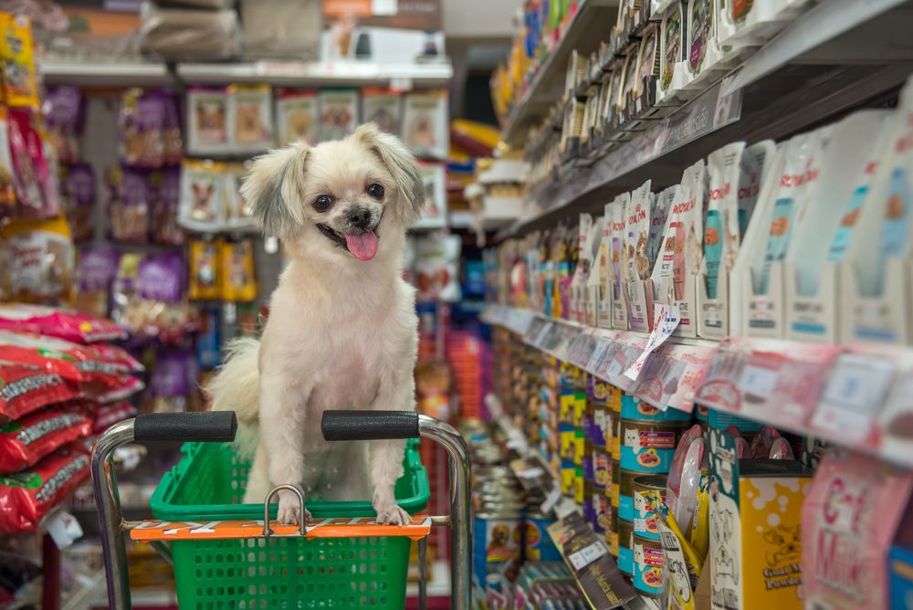 Online pet 2024 supply retailers