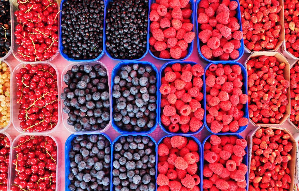 Are Antioxidants Important For Training?