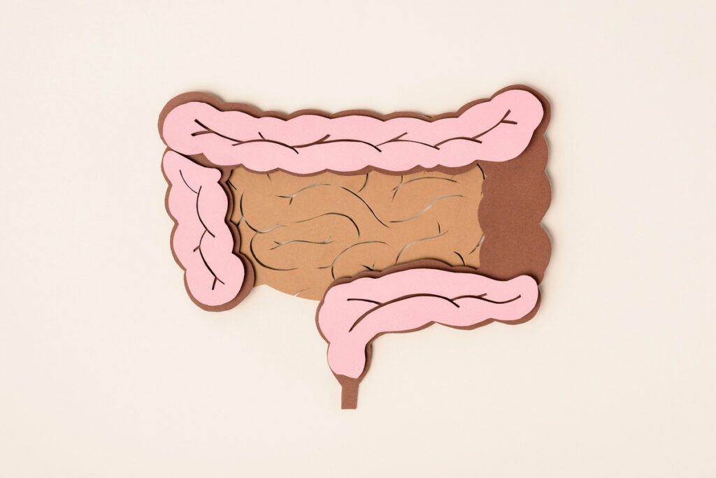 circlemagazine-circledna-colon