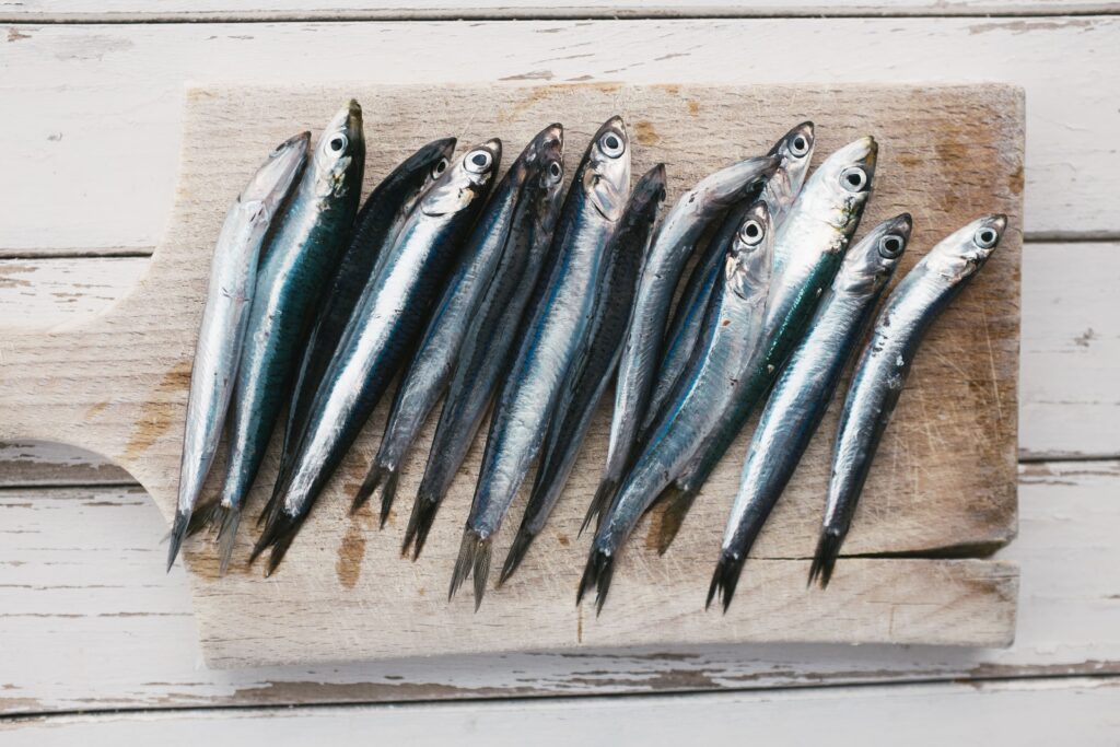 circlemagazine-circledna-high-mercury-fish