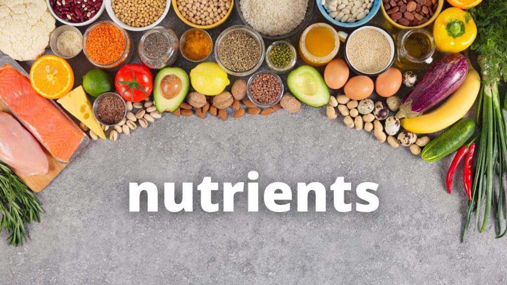 circlemagazine-circledna-First-trimester-meal-plan