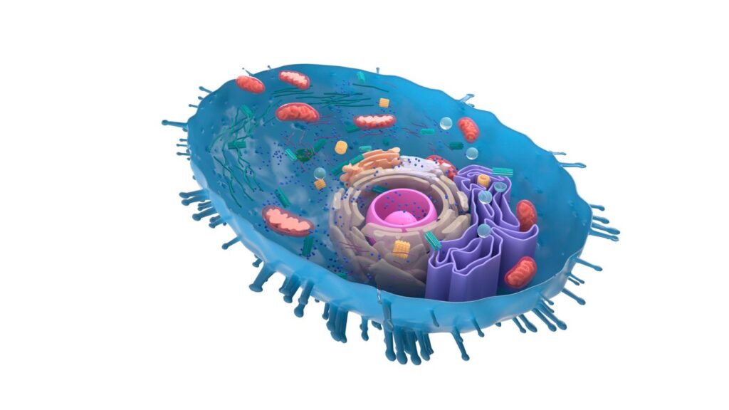 circlemagazine-circledna-Genetic-inheritance