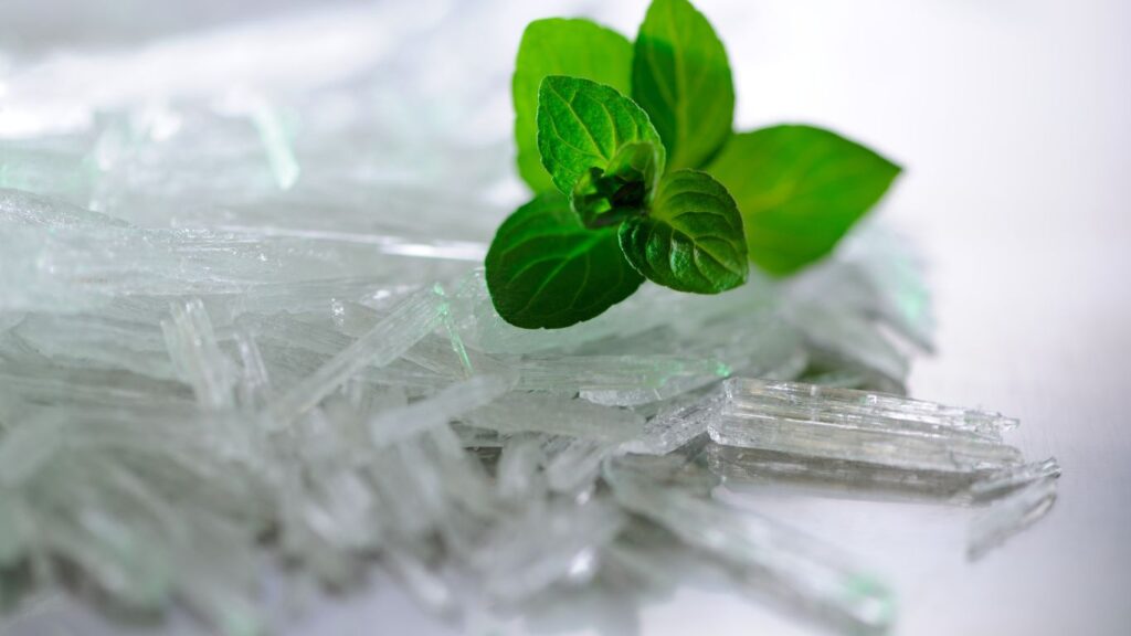 circlemagazine-circledna-natural-pain-relievers-menthol