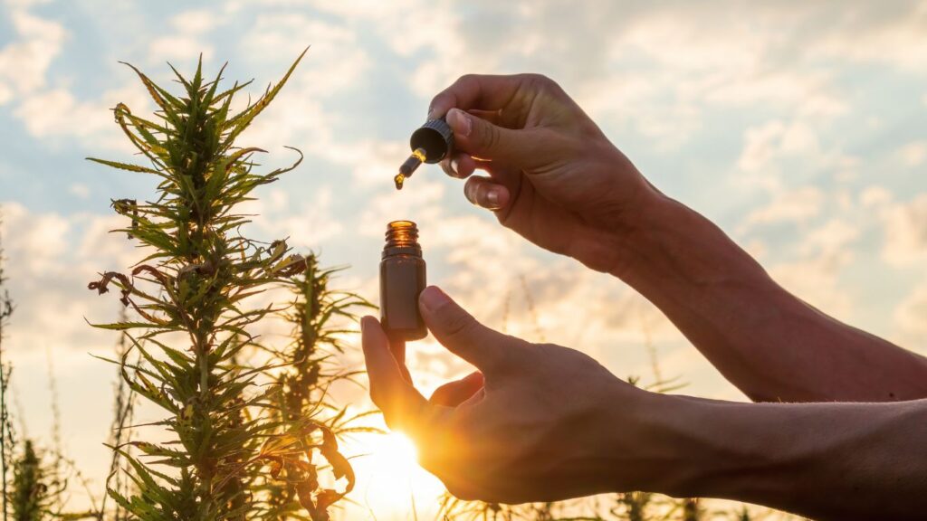 circlemagazine-circledna-natural-pain-relievers-cbd-oil
