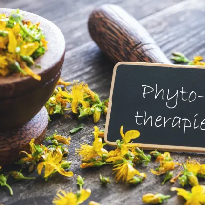 Phytothérapie