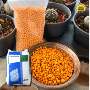 Phân vàng tan chậm Osmocote