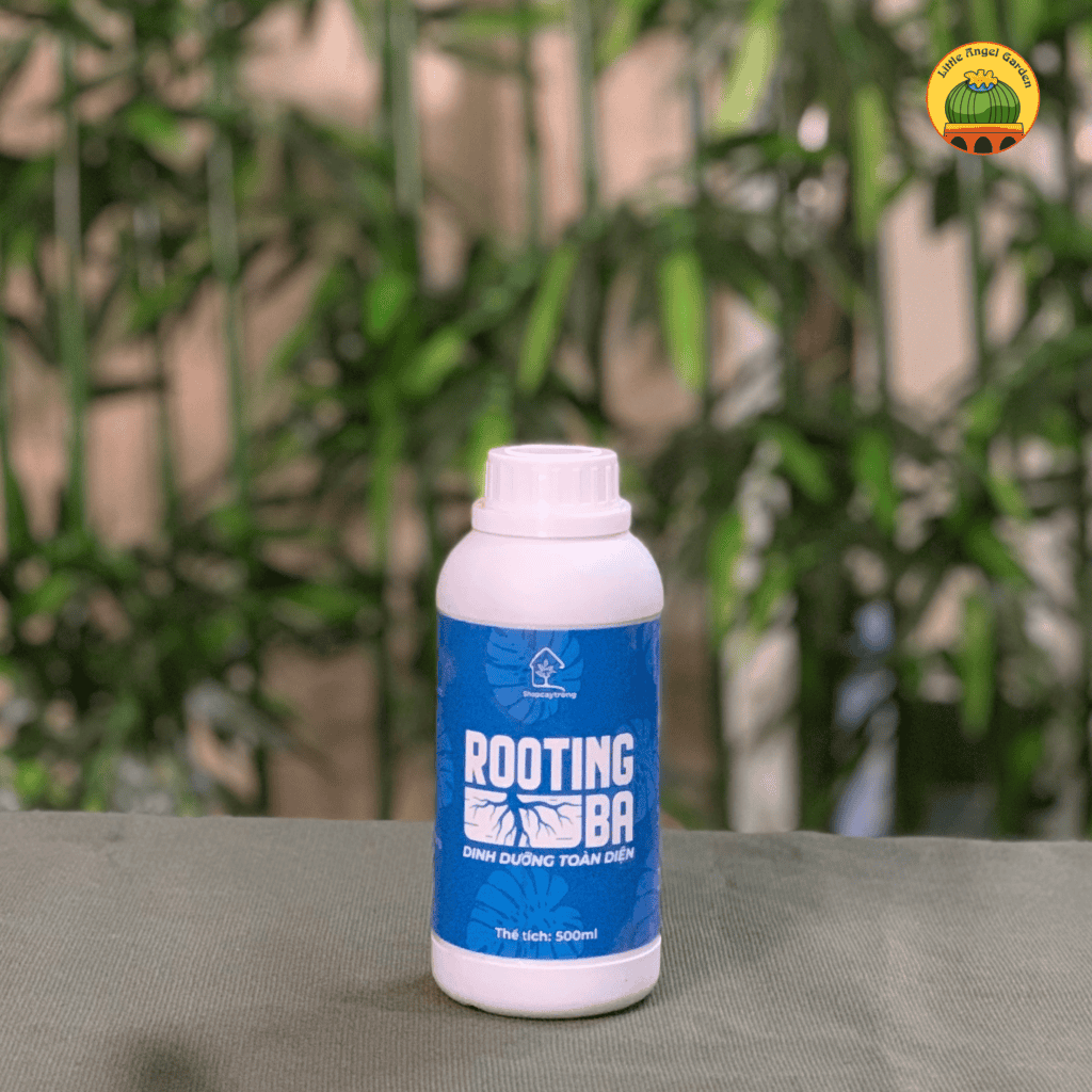 Rooting BA | Kích rễ cây trồng