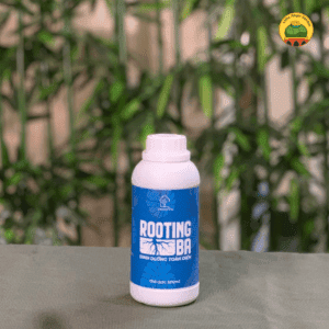 Rooting BA | Kích rễ cây trồng