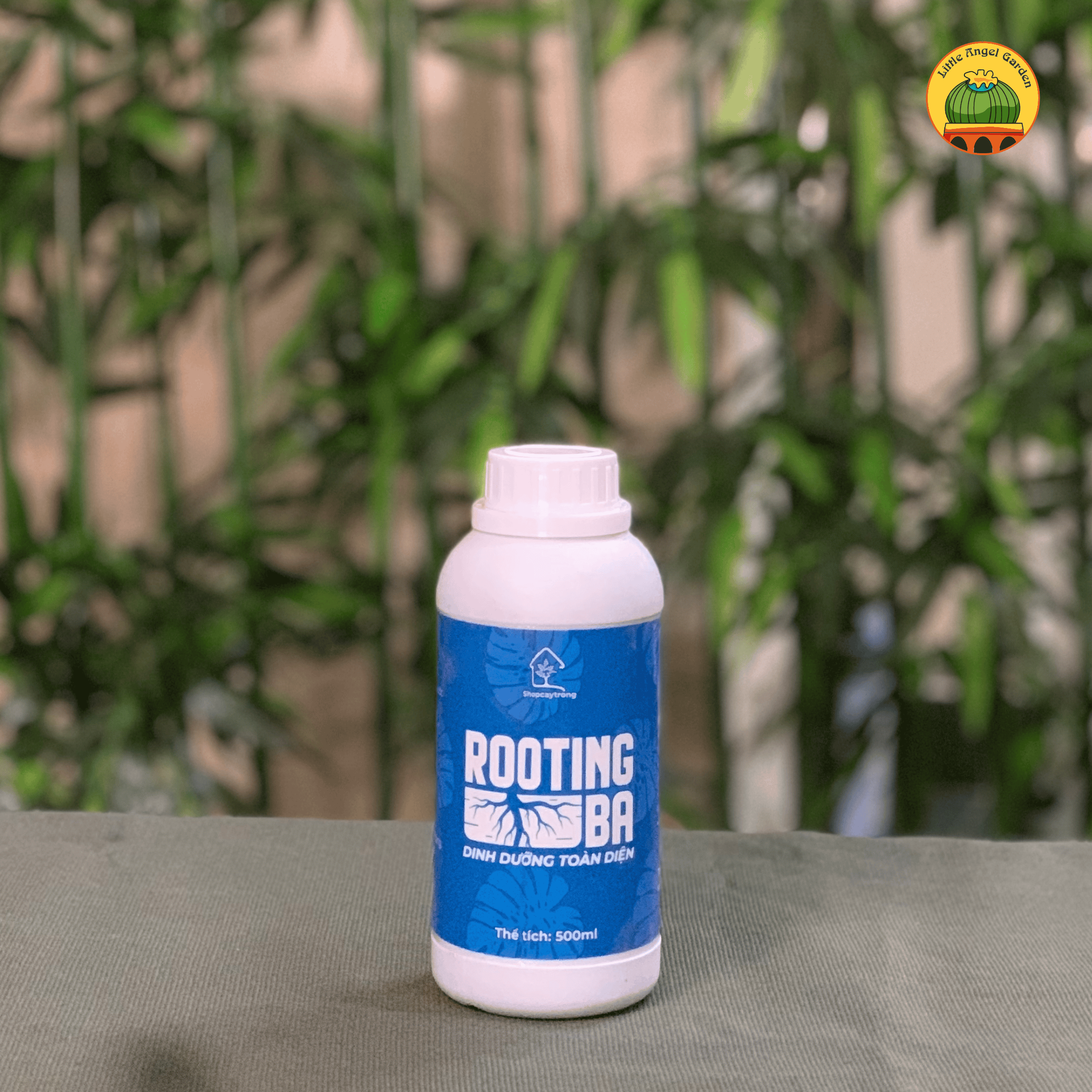 Rooting BA | Kích rễ cây trồng