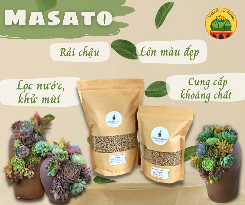 Công dụng của Masato 