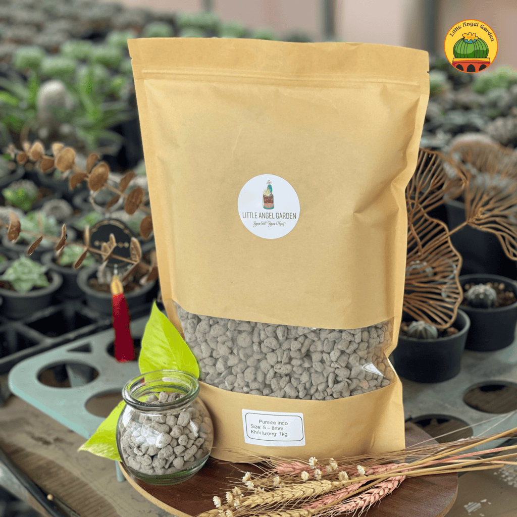 Đá bọt Pumice Indonesia