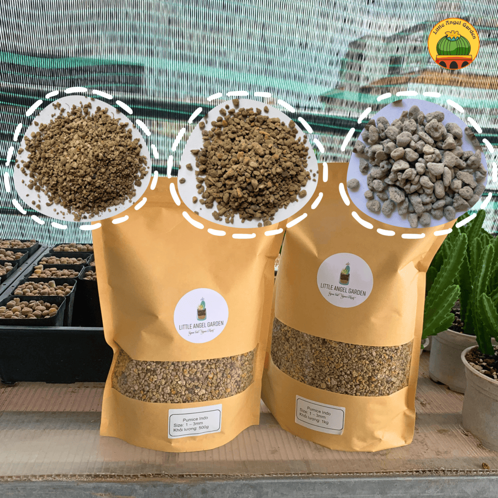 Kích thước đá Pumice