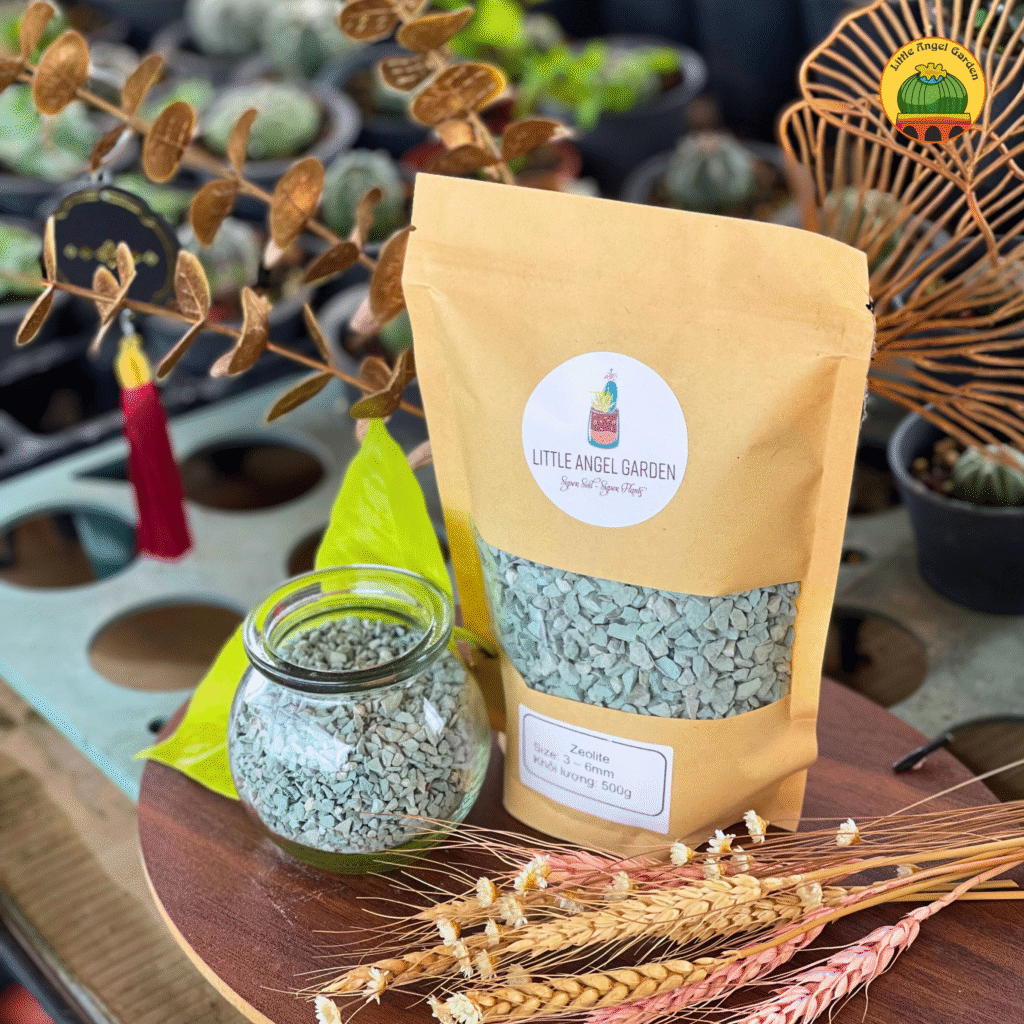 Đá Zeolite sạch bụi | littleangelgarden