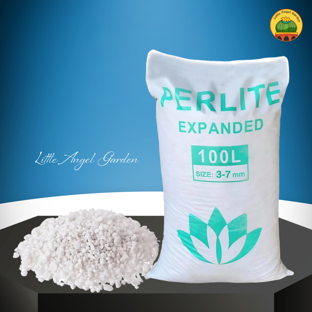 Đá Perlite rải mặt chậu | littleangelgarden