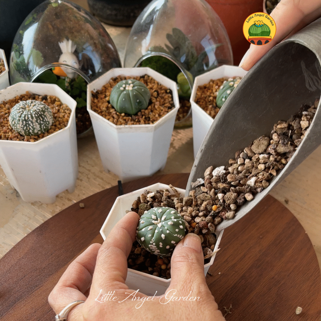 Sử dụng nhiều tiện ích | Khám phá ngay