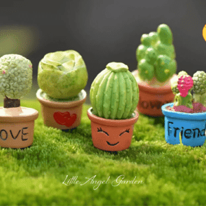 Chậu sen đá | Phụ kiện trang trí