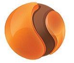 jobs in BUSINESS INTEGRATION GURU PTE. LTD.