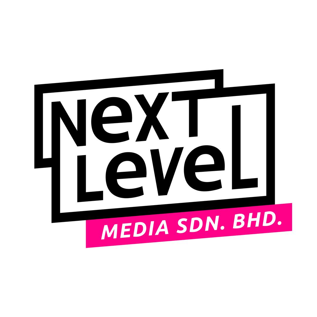jobs in Next Level Media