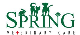 jobs in Spring Veterinary Private Limited