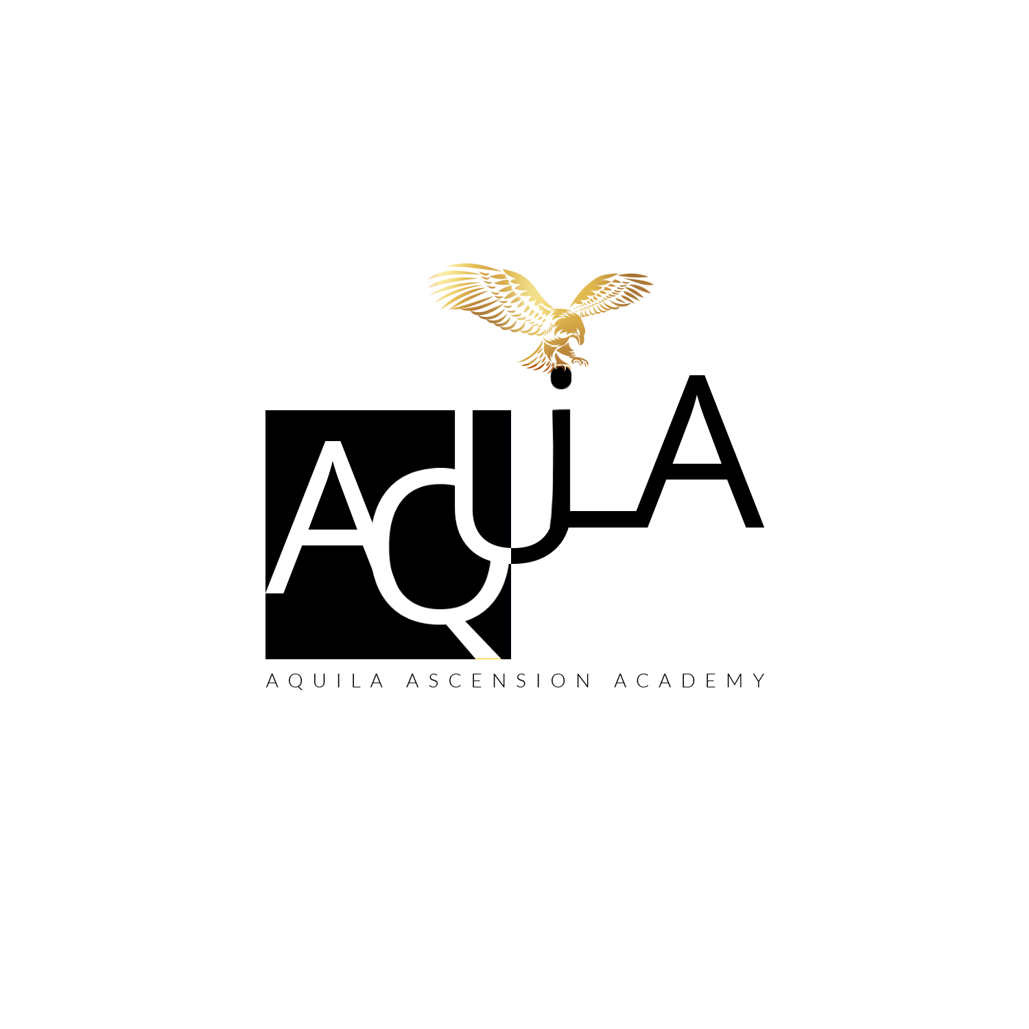 jobs in Aquila Ascension Academy Pte. Ltd.