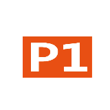 jobs in P1 International
