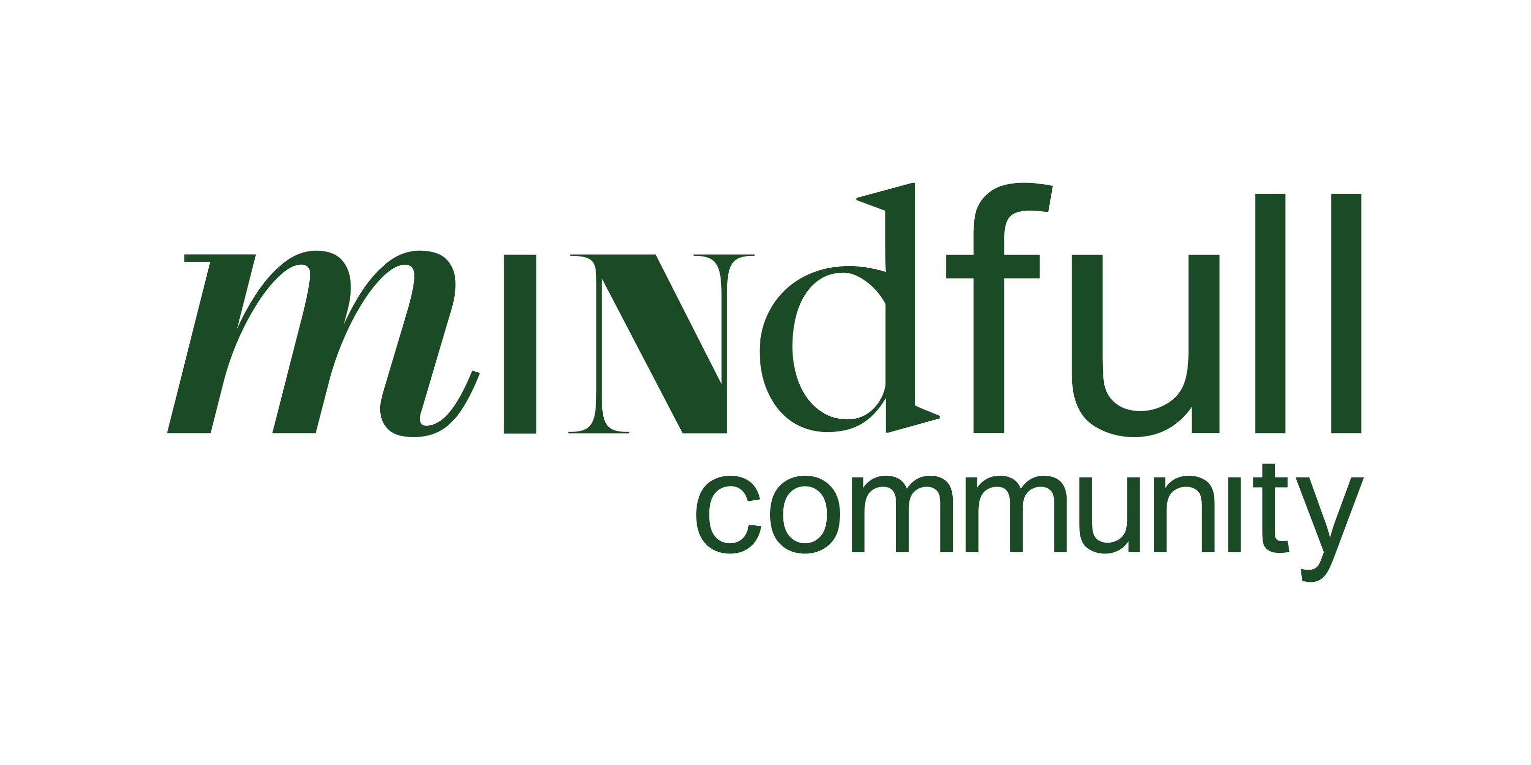 jobs in Mindfull Community Limited