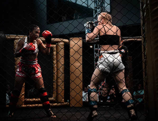 Lion MMA, Gymnasium Terbesar Hadir di Indonesia