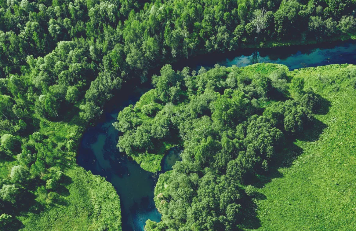 Metrics for Biodiversity Credit