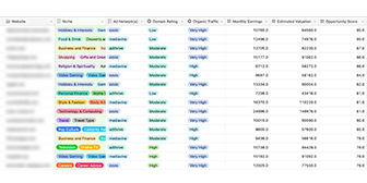 Niche Site Metrics By Ian Nuttall