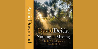 Nothing-is-Missing-by-David-Deida.jpg