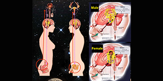 Loving-Energy-that-Heals-_-Transform-Sexual-Energy-to-Life-Force-Intensive-12-13-Sep-2021-By-Mantak-Chia.jpg