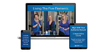 Living the Five Elements By Donna Eden, Titanya Dahlin & Dondi Dahlin - Eden Method