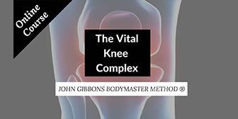The-Vital-Knee-Complex-By-John-Gibbons.jpg