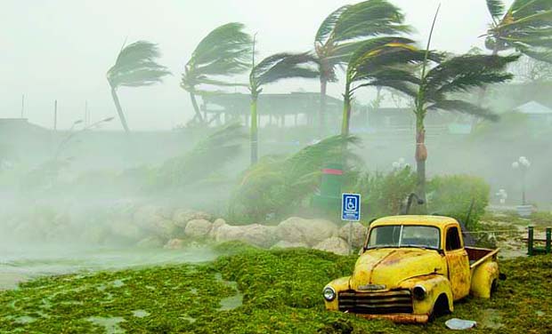 Hurricanes formed this year were relatively weak. Hurricanes formed this year were relatively weak.