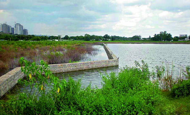 A wall is built inside the Mushkin Cheruvu in Poppalguda village of Ranga Reddy district. A wall is built inside the Mushkin Cheruvu in Poppalguda village of Ranga Reddy district.