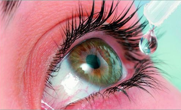 cataract dissolving eye drops for dogs