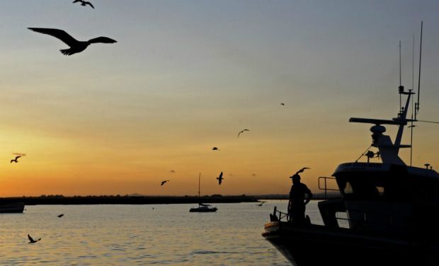Picture for representational purpose only (Photo: AFP/File) Picture for representational purpose only (Photo: AFP/File)