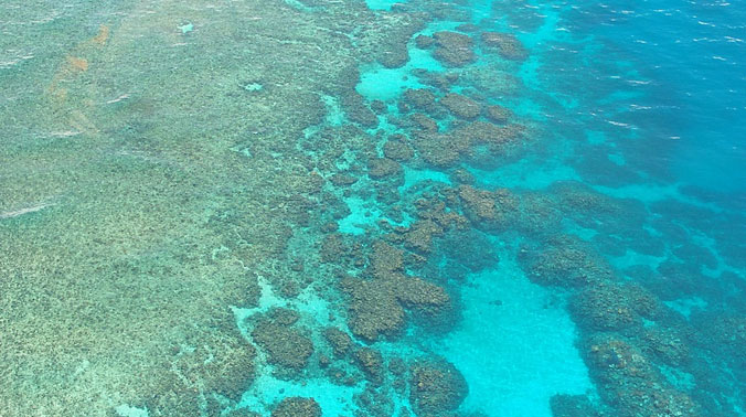 The Great Barrier Reef. (Picture Courtesy: Pixabay) The Great Barrier Reef. (Picture Courtesy: Pixabay)