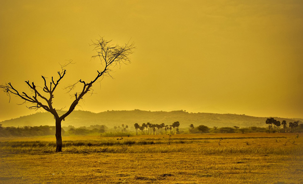 Representational Picture (Photo: Pixabay) Representational Picture (Photo: Pixabay)