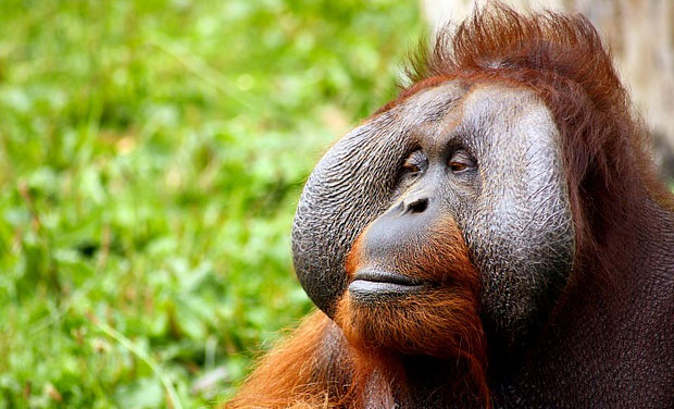 Representational Image. (Picture Courtesy: Pixabay) Representational Image. (Picture Courtesy: Pixabay)