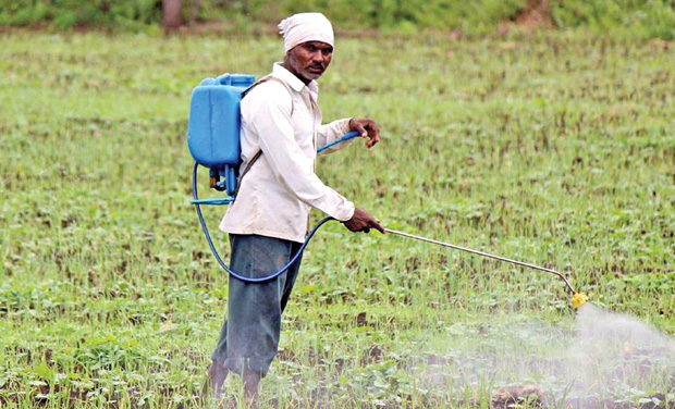 1,176 tonnes of pesticides used in 2013-2014 as against 605 t in previous year. 1,176 tonnes of pesticides used in 2013-2014 as against 605 t in previous year.