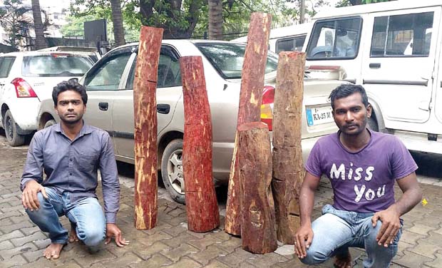 The arrested accused The arrested accused