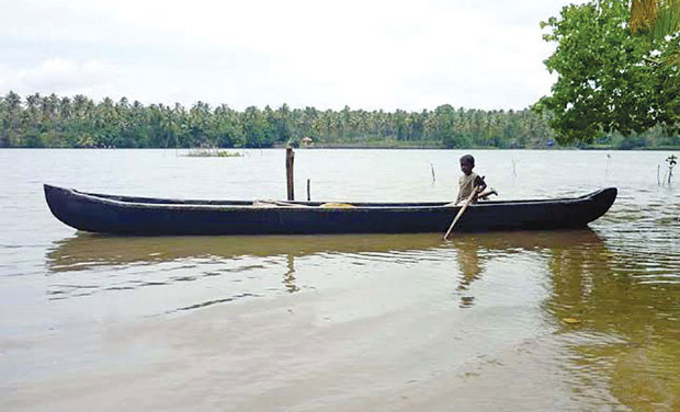 Ithikkara river-Paravur lake ecosystem is heading towards permanent ecological degradation, says a study conducted by HELP Foundation, an NGO based here. (PHoto: DC)
Ithikkara river-Paravur lake ecosystem is heading towards permanent ecological degradation, says a study conducted by HELP Foundation, an NGO based here. (PHoto: DC)