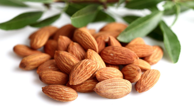 They are good source of plant protein, essential fatty acids, vitamin E. They are good source of plant protein, essential fatty acids, vitamin E.