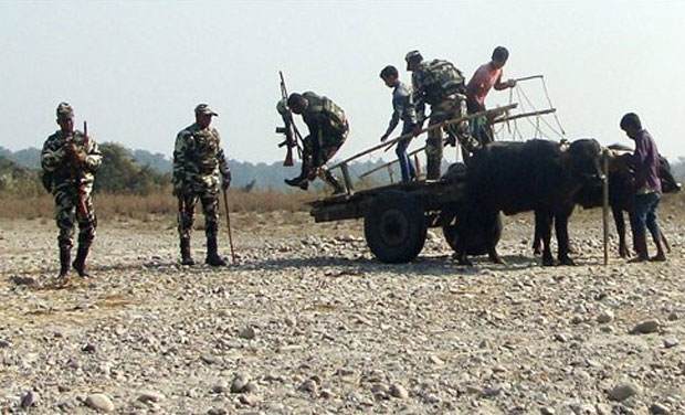 Security personnel patrolling near Assam-Bengal Border area at Balapara under Alipurduar after attacks by Bodo militants (NDFB) in Assam (Photo: AP) Security personnel patrolling near Assam-Bengal Border area at Balapara under Alipurduar after attacks by Bodo militants (NDFB) in Assam (Photo: AP)