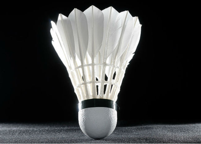 Badminton Badminton